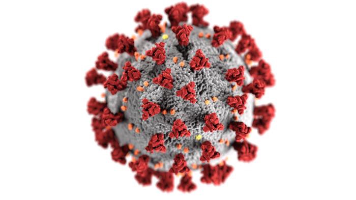 That Picture Of the Coronavirus Isn't Quite Accurate | Elemental